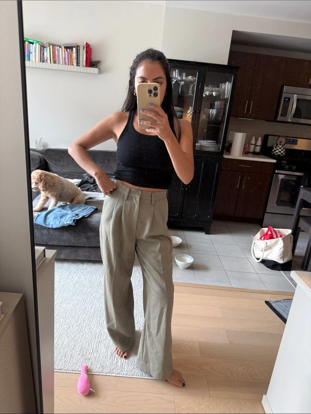 Anine Bing Cream & Green Wide-Leg High-Waist Trousers